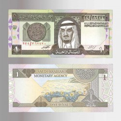 Banconota da 1 ryal dell'Arabia Saudita