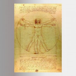 Cartolina dell'Uomo Vitruviano di Leonardo da Vinci