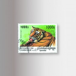 I francobolli della collezione animali, la Tigre