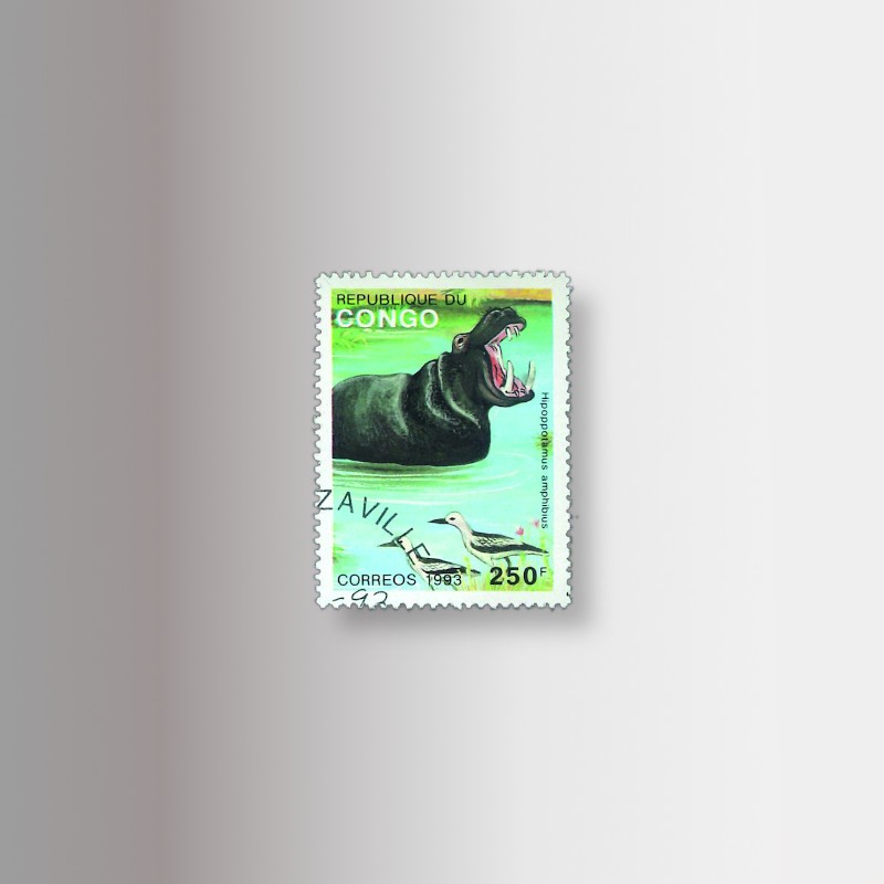 I francobolli della collezione animali, l' Ippopotamo