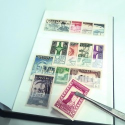 Acquista Nuovi 60 porta banconote in carta da collezione, album, libri,  collezionismo, nero, rosso, blu